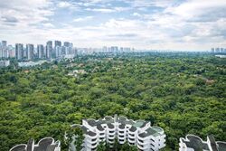 Regency Park (D10), Condominium #530660341
